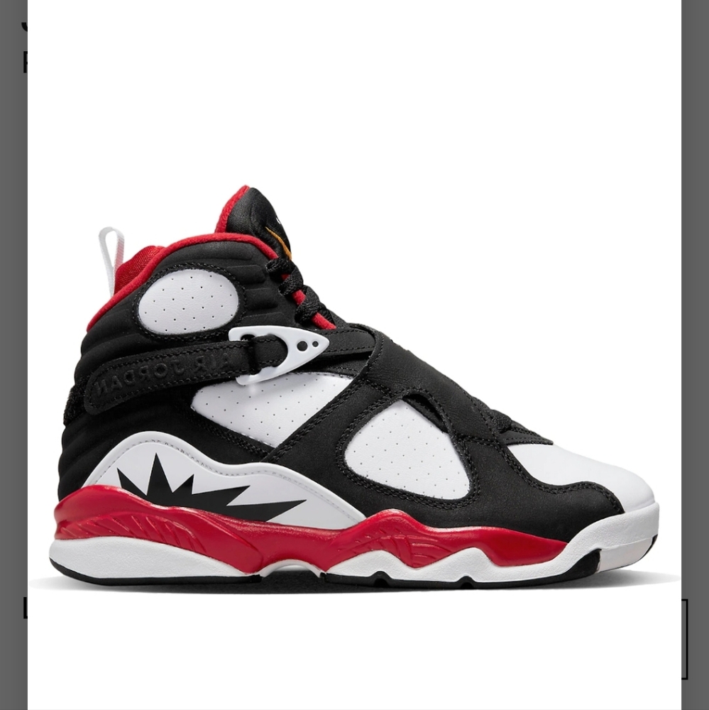 Air Jordan 8 Retro
